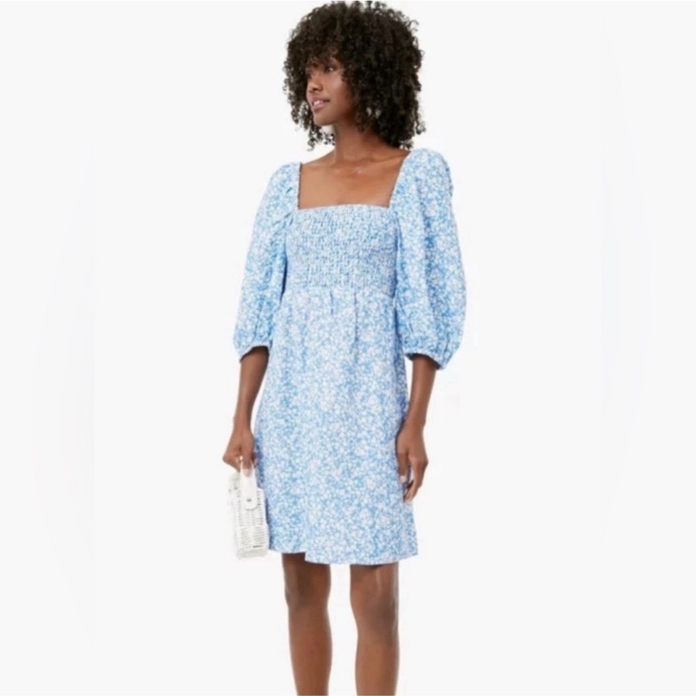 Tuckernuck Blue Puff Sleeve Midi Dress